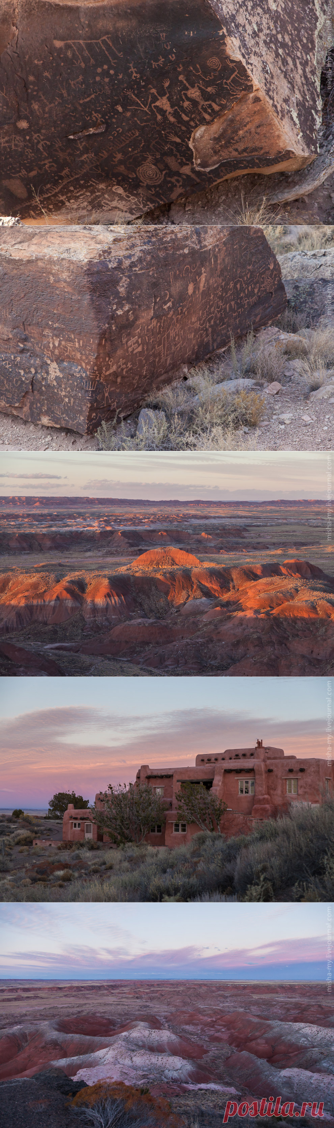 Фотопрогулка по &#171;окаменевшему лесу&#187;
