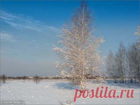 Красивая лыжня