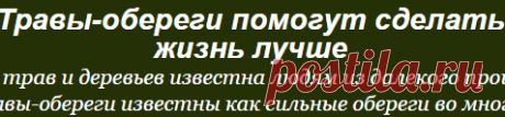 Травы-обереги помогут сделать жизнь лучше