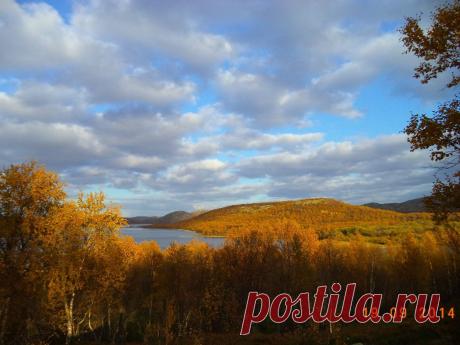 ФОТОМАСТЕРСКАЯ ПРИРОДЫ
светлана кутас(вельмякина)