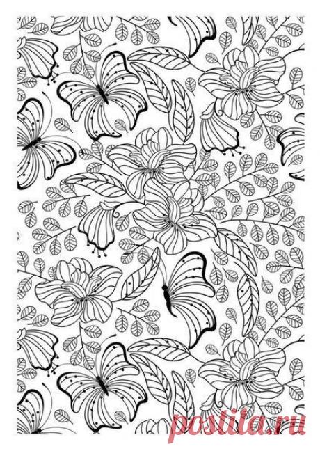 Раскраски антистресс