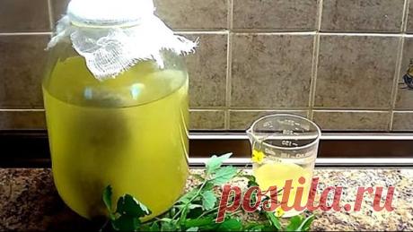 Целительные квасы Бориса Болотова