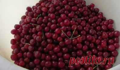 Вишня в собственном соку: лучший рецепт на зиму