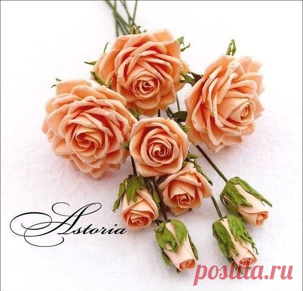 Розы, мастер-класс.