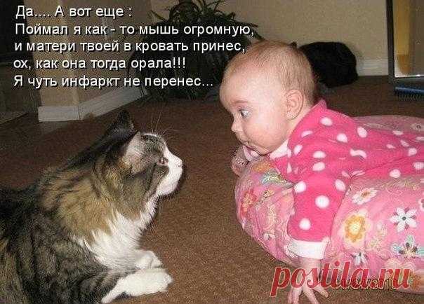 Лилия Советкина
