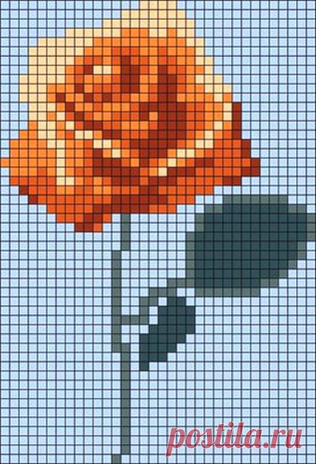 Роза - вышивка крестом