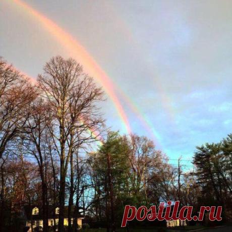Впечатляющие снимки обо всём на свете (23 фото)