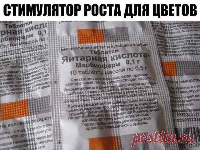 (60) Одноклассники