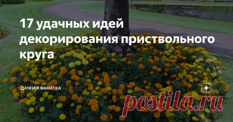 17 удачных идей декорирования приствольного круга Статья автора «Дачная фанатка» в Дзене ✍: Пока шли споры о том, нужно ли окапывать приствольный круг, садоводы практически в полном составе перестали это делать.