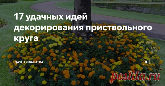 17 удачных идей декорирования приствольного круга Статья автора «Дачная фанатка» в Дзене ✍: Пока шли споры о том, нужно ли окапывать приствольный круг, садоводы практически в полном составе перестали это делать.