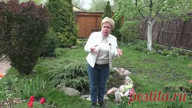 РОЗЫ О ЧЕМ НЕЛЬЗЯ ЗАБЫТЬ весной..