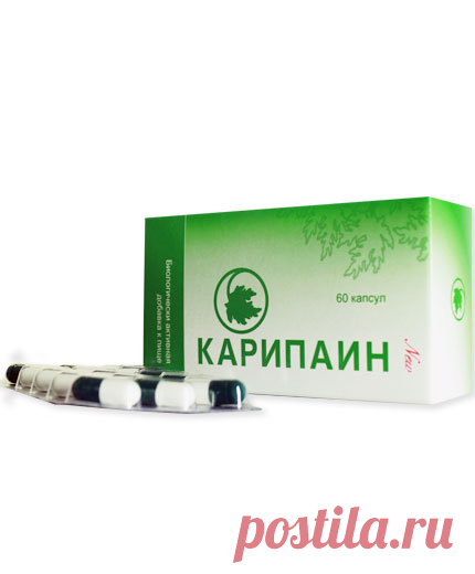 Официальный сайт производителя линейки препаратов для лечения позвоночника и суставов Карипаин | МЕДВЭЙВ