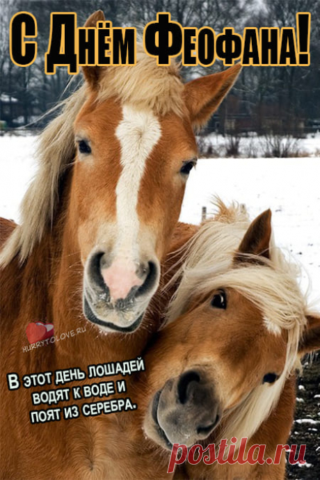 Феофанов день!