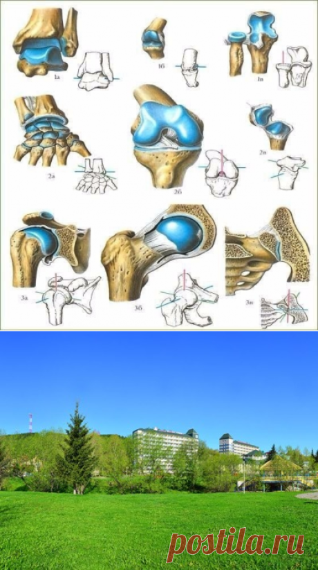 Про суставы