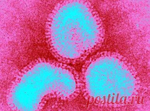 Гонконгский грипп накроет Россию в январе 2017 года