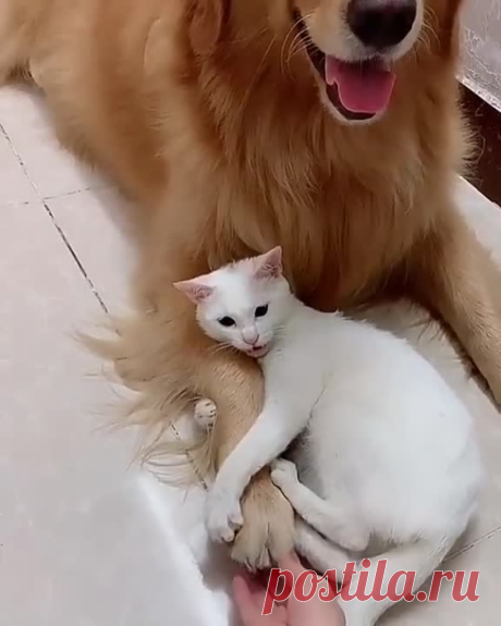 🥰💛💫