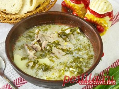 Зеленый борщ с щавелем