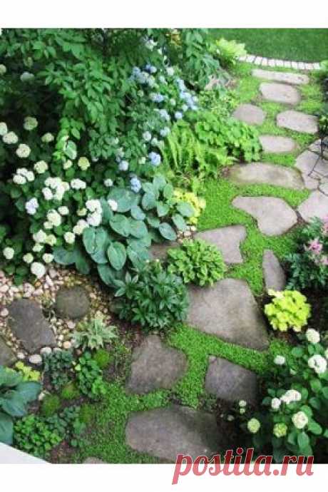 (4) Pinterest