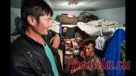 В России вводят запрет на работу мигрантов в различных сферах экономики | Оглядываясь назад | Дзен