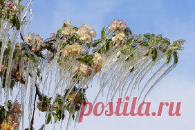 Потрясающие ледяные скульптуры, созданные самой природой