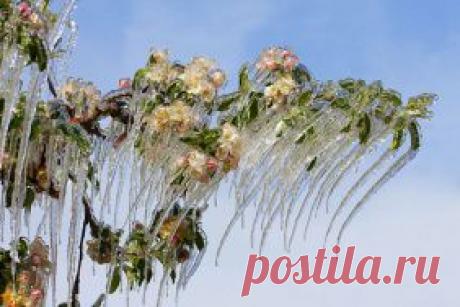 Потрясающие ледяные скульптуры, созданные самой природой