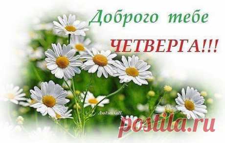 Новости