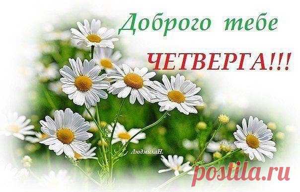 Новости