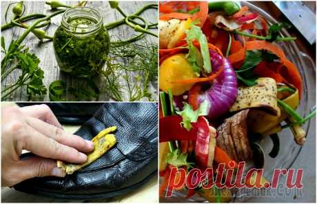 Что в мусорке тебе моей: дельные способы использования того, что обычно выбрасывают в ведро