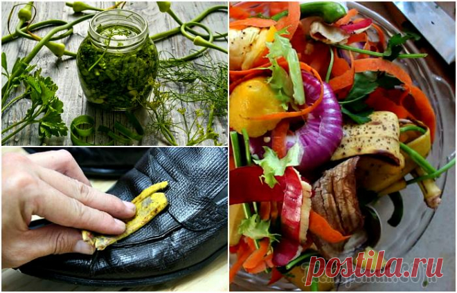 Что в мусорке тебе моей: дельные способы использования того, что обычно выбрасывают в ведро