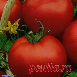 Семена почтой Томат Грунтовый Грибовский 1180