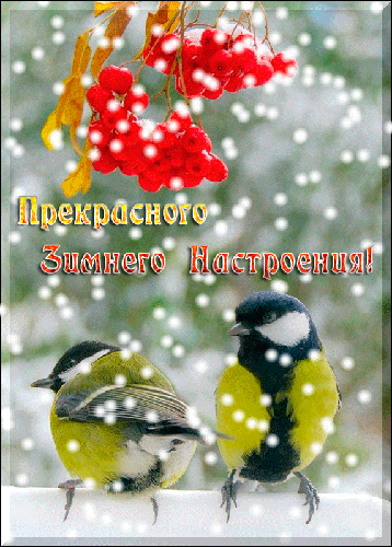 Мой Мир@Mail.Ru