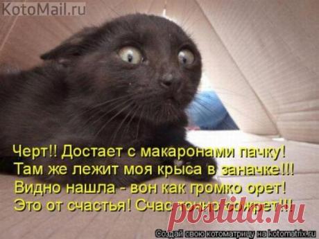 Точно сожрёт!