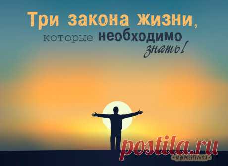 Три закона жизни, которые должны знать все