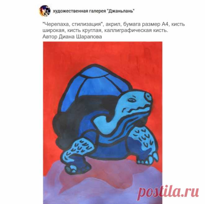 раздел "черепахи"