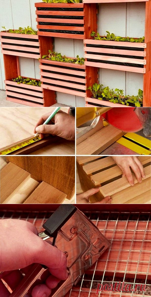 Вертикальное озеленение для сада и дачи своими руками | 33 Поделки | Яндекс Дзен