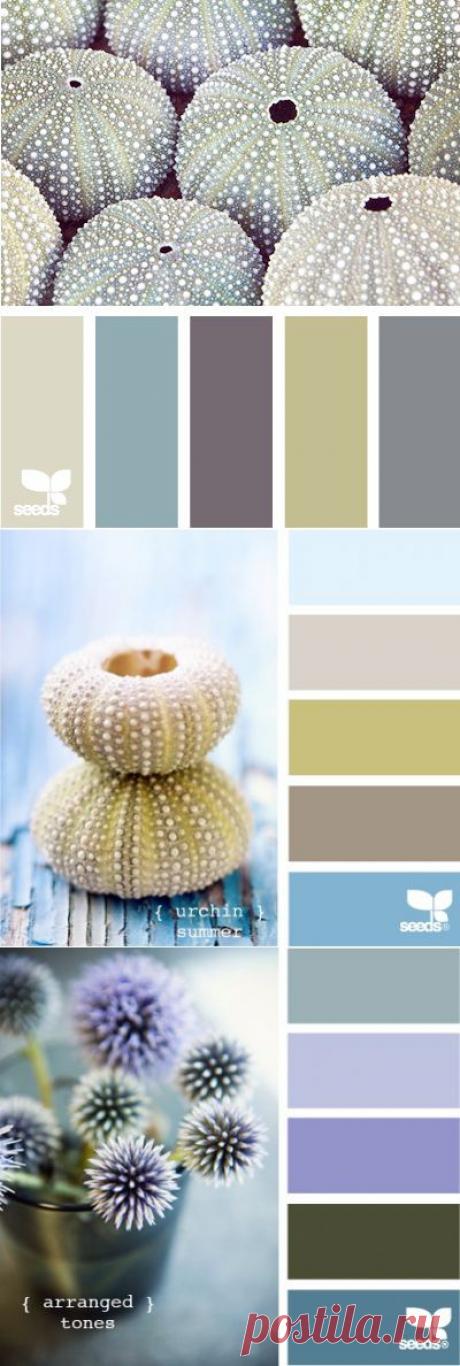 сочетание цветов в природе..