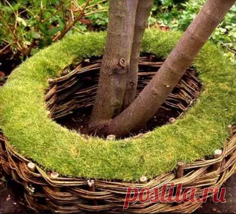 Магия круга на участке: идеальное оформление по кругу | Декорочка | Яндекс Дзен