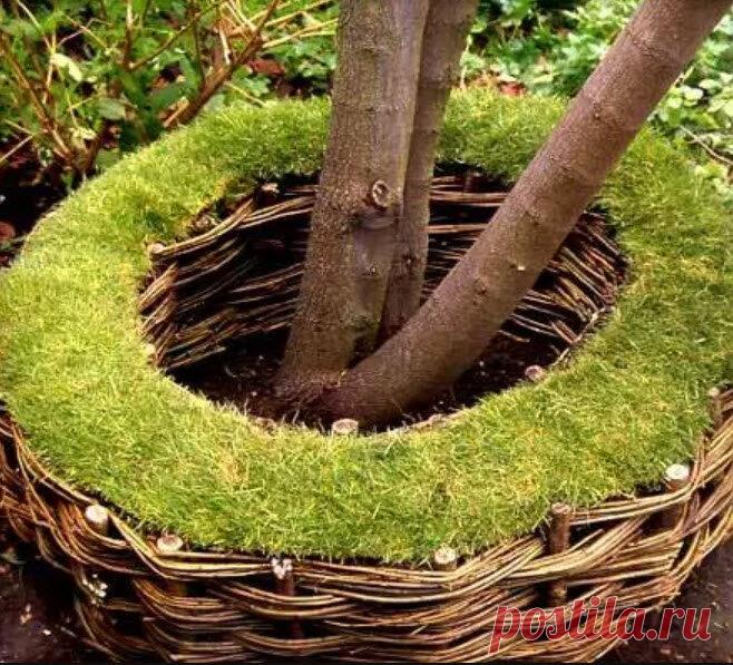 Магия круга на участке: идеальное оформление по кругу | Декорочка | Яндекс Дзен