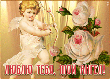 Картинка люблю тебя, мой ангел