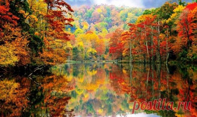 Ах, Осень!!! Милая сердцу пора!