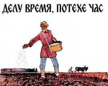 5 фраз, истинное значение которых не все знают | Болтай
