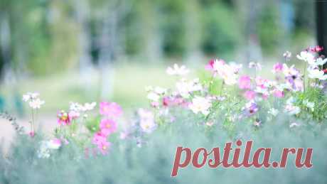 i (Изображение JPEG, 3000 × 1688 пикселов) - Масштабированное (34%)