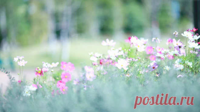 i (Изображение JPEG, 3000 × 1688 пикселов) - Масштабированное (34%)