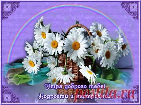 (13) Мой Мир@Mail.Ru