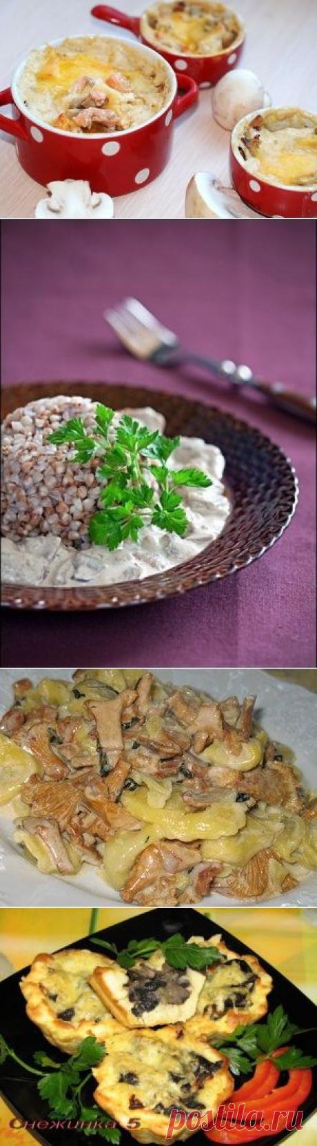 10 СУПЕР-РЕЦЕПТОВ приготовления блюд из грибов