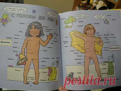 Детская книга про ЭТО в мельчайших деталях, которая нас шокировала!
