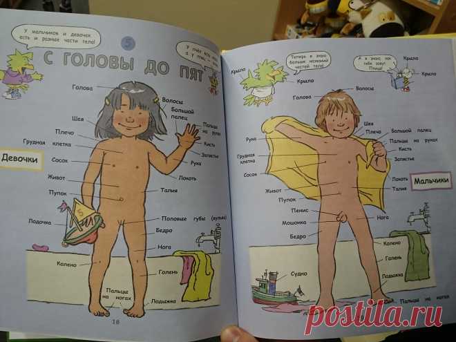 Детская книга про ЭТО в мельчайших деталях, которая нас шокировала!