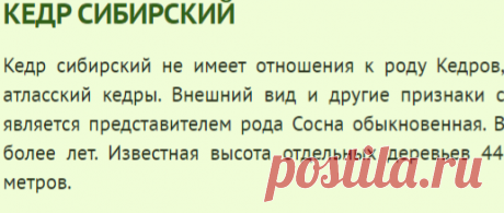 (99) Одноклассники