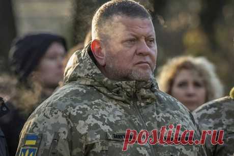 «Не смог предоставить план замысла, ни большой, ни маленький» Украинский депутат призвала Залужного уйти в отставку. Заместитель главы комитета Верховной рады Украины по вопросам национальной безопасности и обороны, депутат от партии «Слуга народа» Марьяна Безуглая призвала главнокомандующего Вооруженными силами страны (ВСУ) Валерия Залужного уйти в отставку из-за отсутствия конкретного плана действий на следующий год.