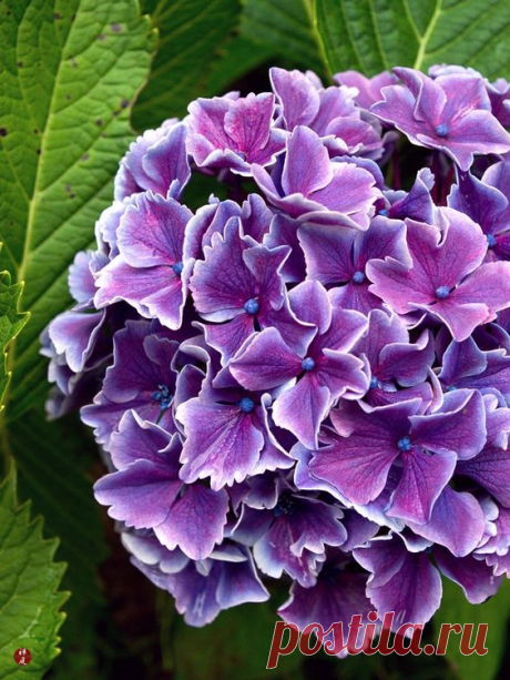 (87) Pinterest • Всемирный каталог идей